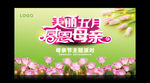 感恩母亲节