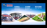 种业公司文化