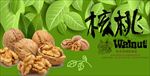 核桃 大姚核桃 野生核桃 山核