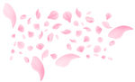 花瓣