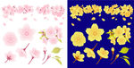 花瓣