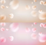 花瓣