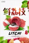 荔枝挂画 荔枝湾 荔枝树