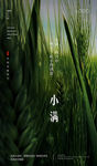 小满