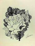 花绘插图