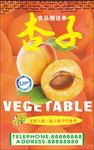 植物 长满 杏子 水果