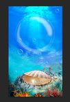 海底珍珠