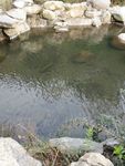 山东 临沂 沂蒙山 银座天蒙