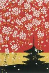 插画图片
