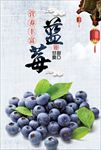 蓝莓采摘海报 蓝莓 蓝莓海报