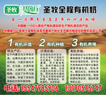 圣牧全程有机奶