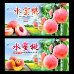 水蜜桃