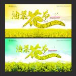 油菜花