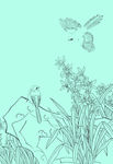 兰花线描 兰花白描 兰花素描