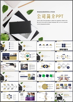 公司简介PPT