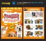 宠物店