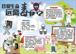 word手抄报  禁毒手抄报