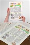 word简报   校园刊物