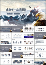 业绩报告PPT