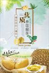 榴莲 榴莲海报 榴莲展架 泰国