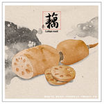 藕手绘设计素材