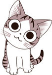 小花猫