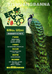 玩美版纳