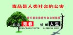禁毒教育外墙海报