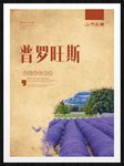 普罗旺斯