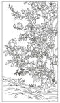 名花争艳