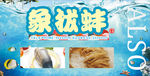 象拔蚌
