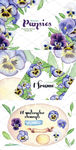 手绘水彩植物花朵