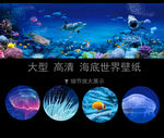 海底世界