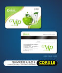 绿色简约牙科VIP贵宾卡