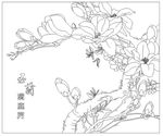 玉兰满庭芳