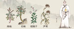 中药材