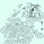 花鸟线描 花鸟白描 花鸟素描