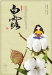 白露海报