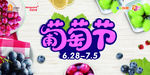 葡萄节