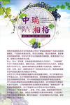葡萄公司介绍雅致海报图