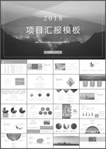 项目汇报PPT
