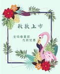 秋款上市