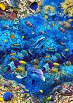 海洋世界海豚珊瑚地砖地画装饰画