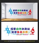 生物文化墙
