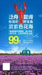 花海吃虾旅游广告
