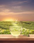 新鲜有机健康绿茶海报