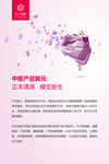 东方妈妈