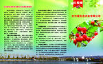 旅游折页