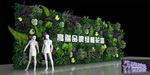 绿植墙