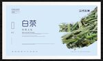 白茶